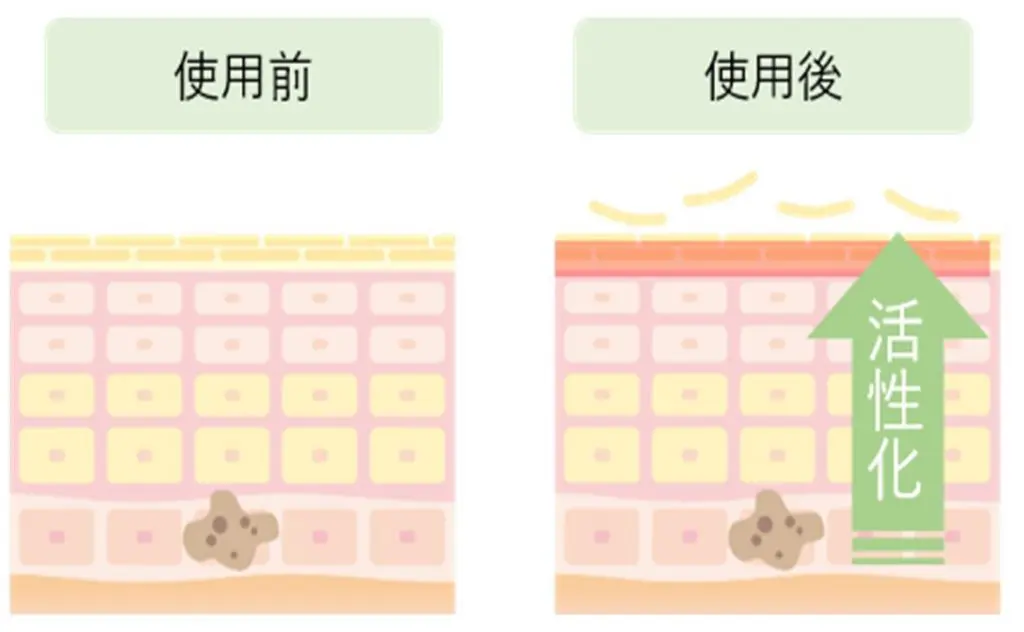 オールレチノCクリーム オールレチノCクリーム | 名古屋市昭和区の美容皮膚科